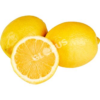 Сорт лимона Ташкентский